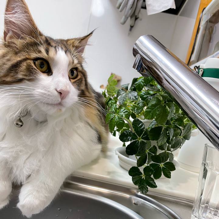 7b05946c 0a3c 4a41 9864 08329ffae927 1640553748722