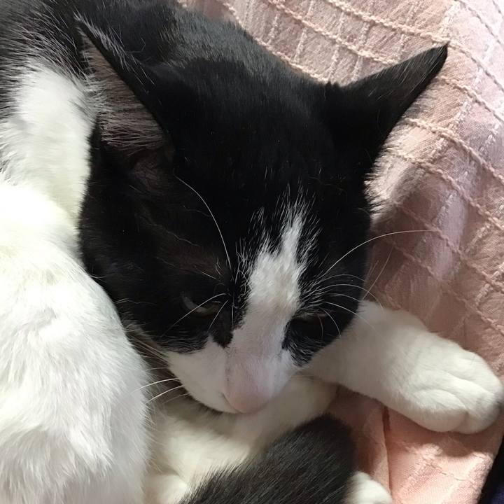 7b067627 4632 4cf8 8f1d 2b24a17cdaa9 1715225638641