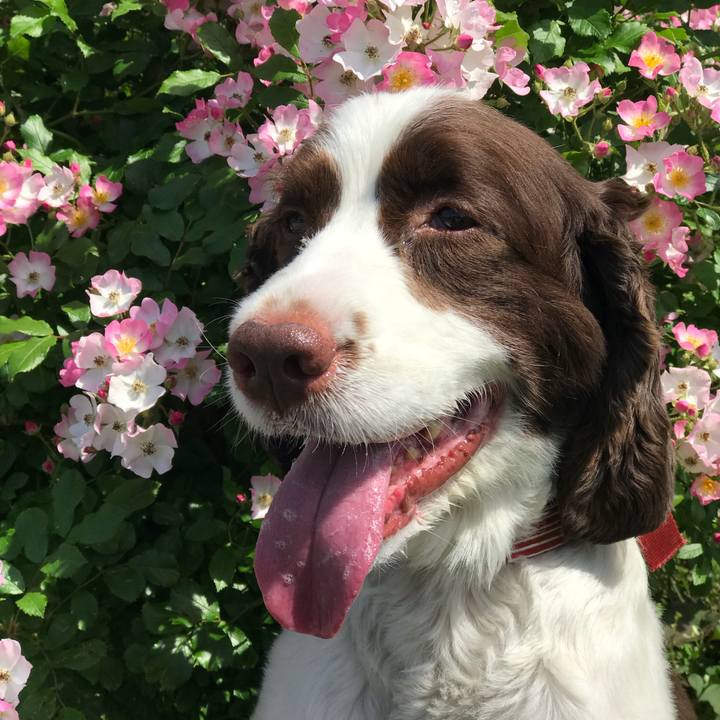 7b06bdb3 bfae 4e24 97a0 39b047a45743 1526713060433