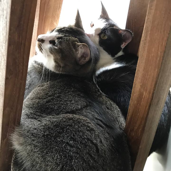 7b06ebdb 7322 469d 9b1e 49b086d8287d 1509092520361