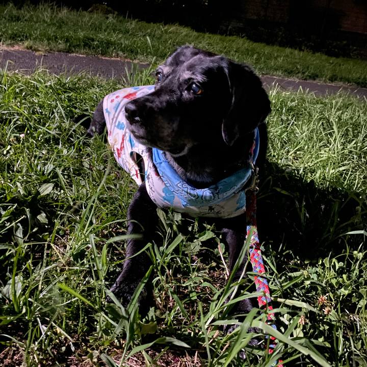 7b06ed26 5b0f 47b7 a9e7 e56d26cd047c 1660048066368