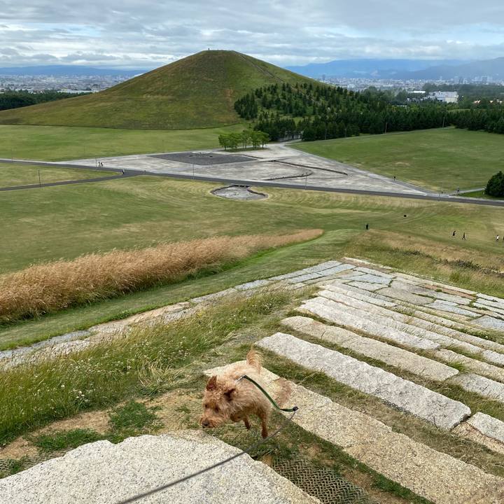 7b073a5d bc75 476d a30a 74f8eac7b006 1625970637462