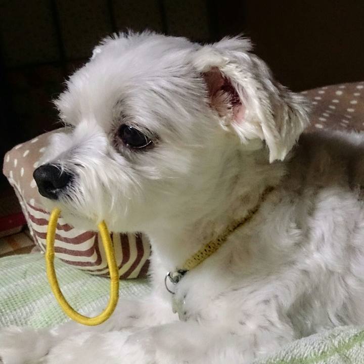 7b078056 fead 45ec b45a 7acf509524d5 1528984952593