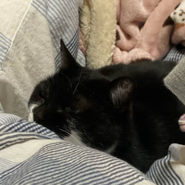 7b079212 2869 49e9 ac17 b1013c17764d 1738728444405