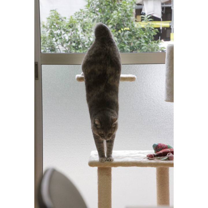 7b07c003 212e 4d49 aca1 4a8a29e64260 1631786742788