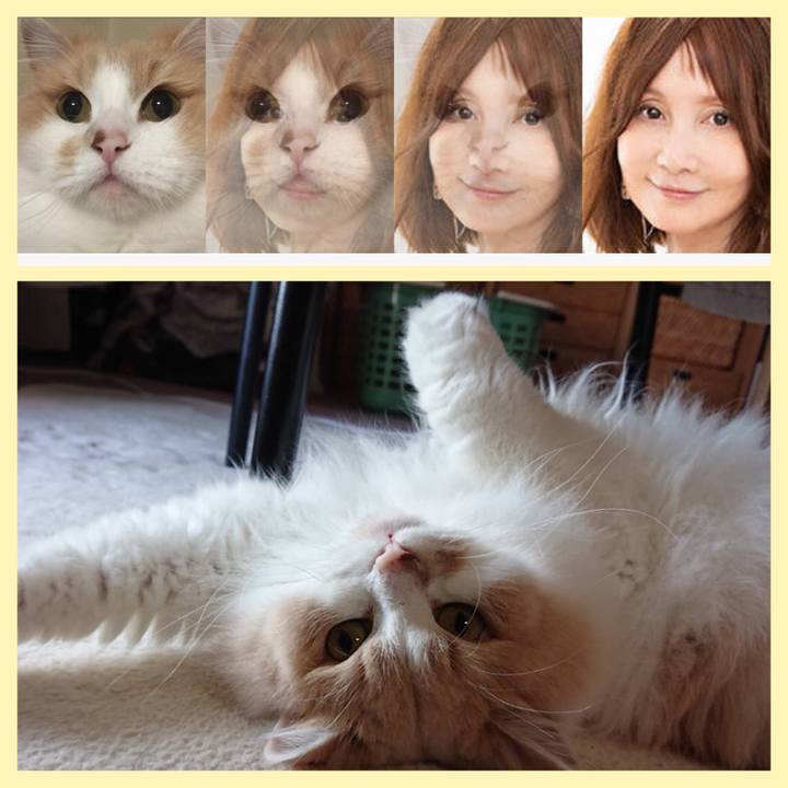 7b07c931 1cbe 43cc a1fd faa487e79d00 1573040637623