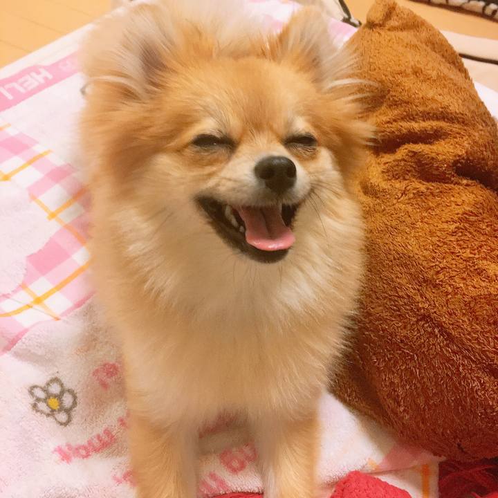 7b07ebfe 8cc7 451f a482 46976d798e2a 1523537674698