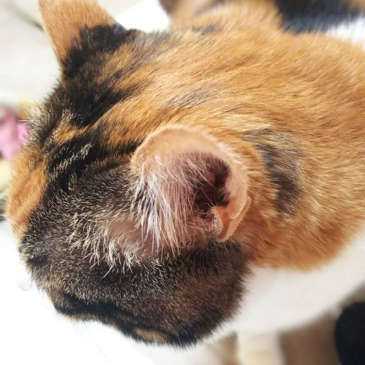 7b07ff7a 091b 4e90 b416 ff89286b2dd9 1543019002833