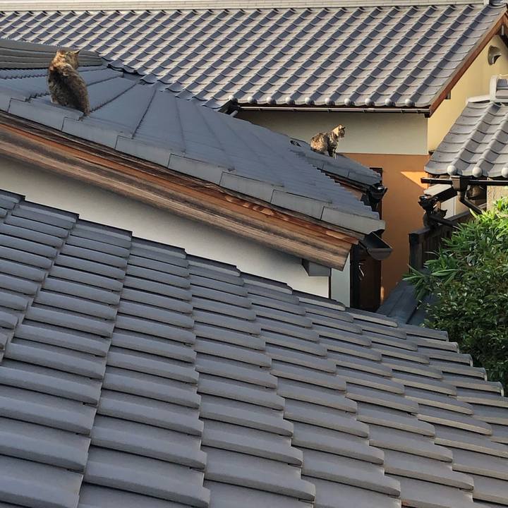 7b08a4d7 2e18 4f5e 9e26 2e01a311d8ba 1683533508808