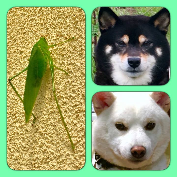 7b08b57e ffd1 45d1 b12a 784cf1d1e5ad 1567338405696