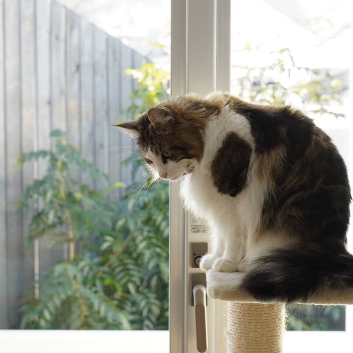 7b08be06 fe77 4a82 8a06 75690beaf700 1613014319669