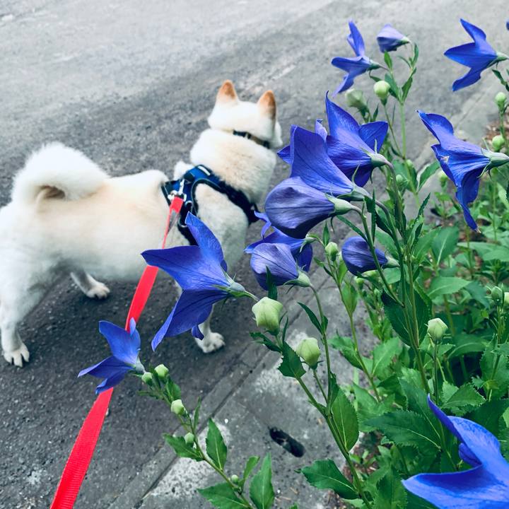 7b08c607 0da7 4222 b99c cbaaef3f8966 1626985766355