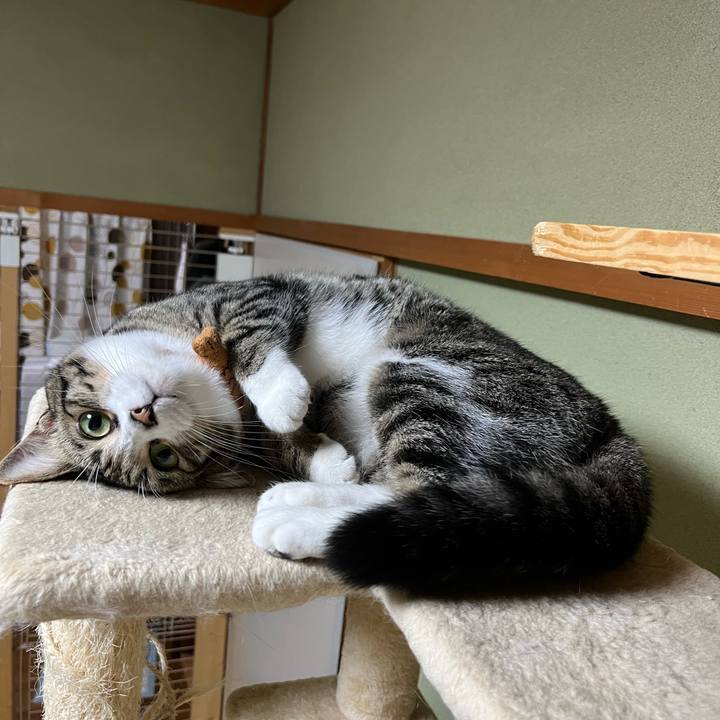 7b08d36c 1bb4 4b6f 874f 049ef14e514d 1759299727993