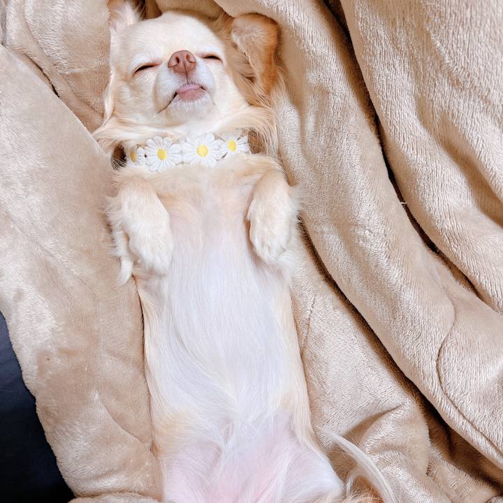 7b08e367 033d 447c aaed 07c701631f47 1652926998756