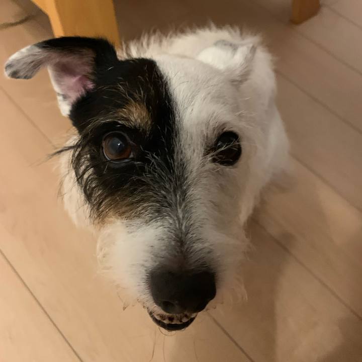 7b08e475 4d86 4c78 b234 3a53632d754a 1695984876886