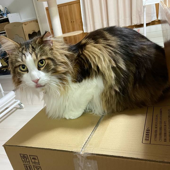 7b092f03 d401 4339 85a2 d3e06023a153 1674037315498