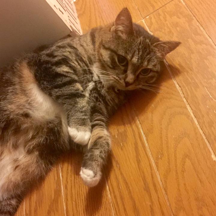 7b0934b7 a169 435d 9d4f 905d69eb2b64 1564505346262