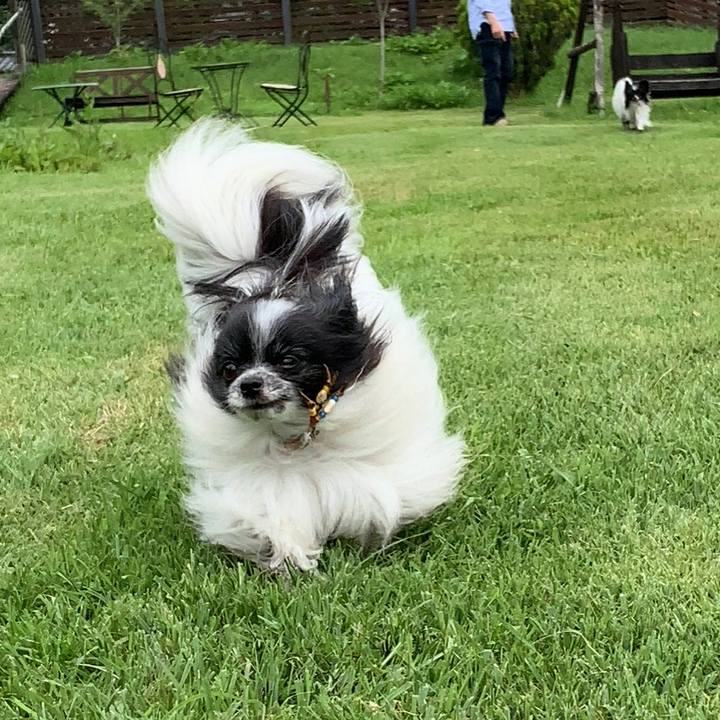 7b094a74 c2e8 4a33 9513 41ec619d175b 1596800246950