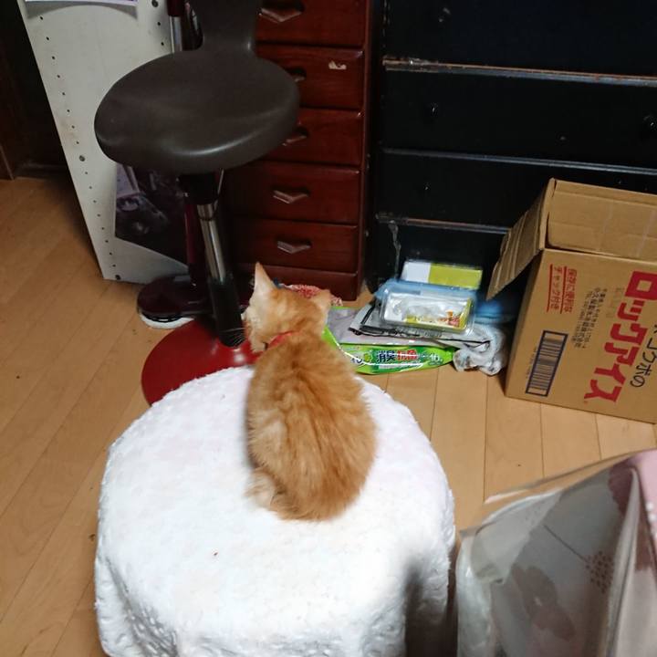 7b0955f8 63c9 48b7 a8c8 bfcfa435327b 1628631337472