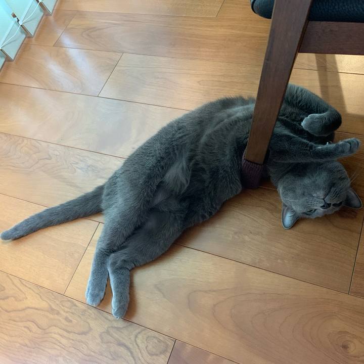 7b09582a 88a9 4feb b225 16a544c24254 1659506091901