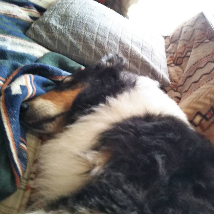 7b095dcb 4a9d 434a 84f6 b5e34e85392c 1584275131915