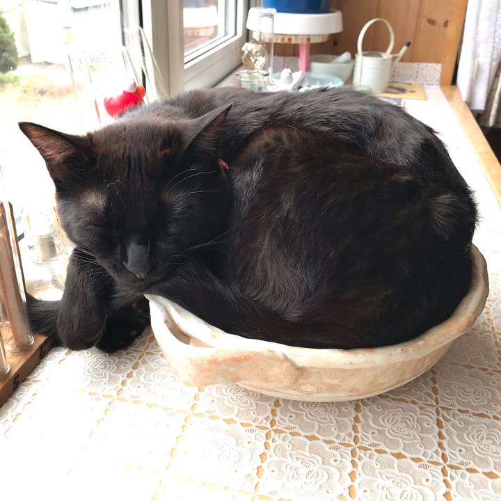 7b096840 87ce 43c0 a45a ca345a941bde 1589941872936