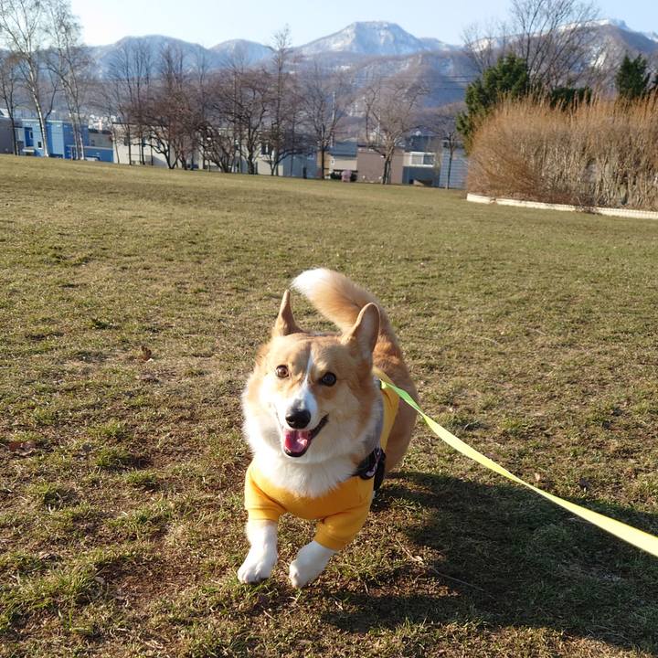 7b096d71 86ff 4afa 9702 48fbc9b0aeb1 1775000977142