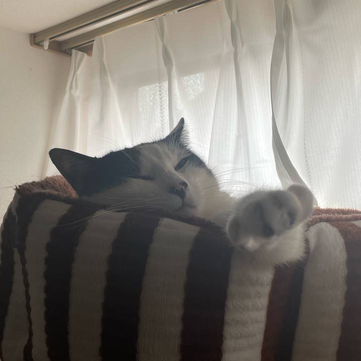 7b097090 d3b5 48cd be68 2b2442cbe64b 1673604234610