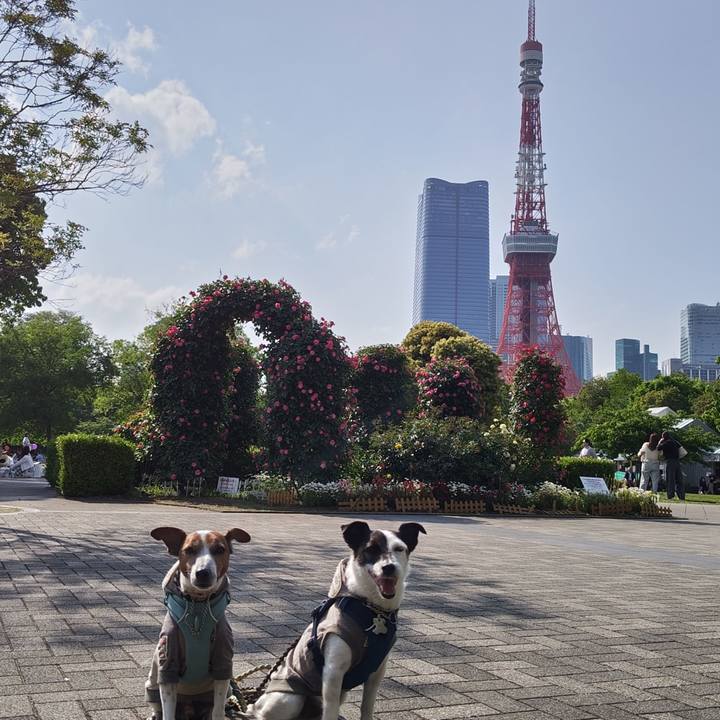 7b097776 d9e5 41d1 be35 d3a796f0f674 1746339055131