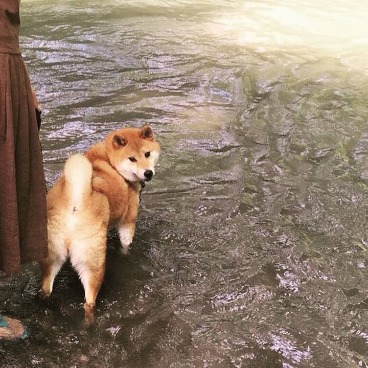 7b098cb6 7296 416d a577 f51d1771020f 1531086931733