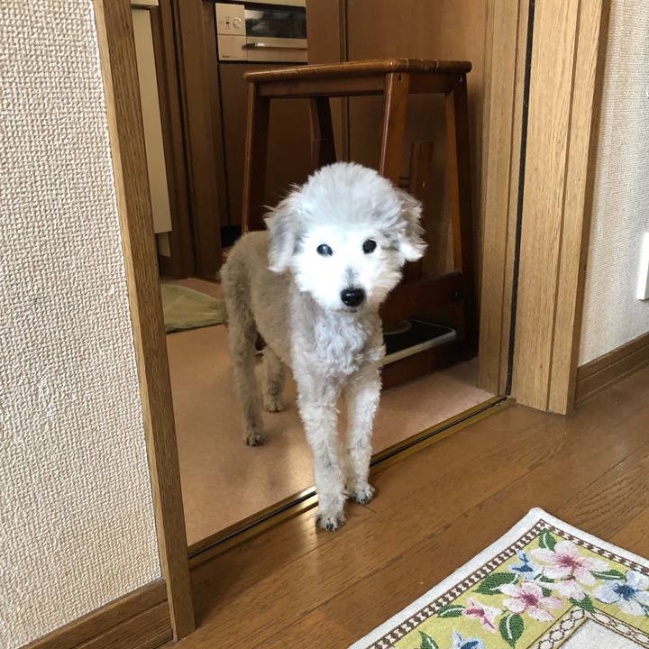 7b0a27ea 0e27 45c7 b711 b412962bfba6 1623198009902