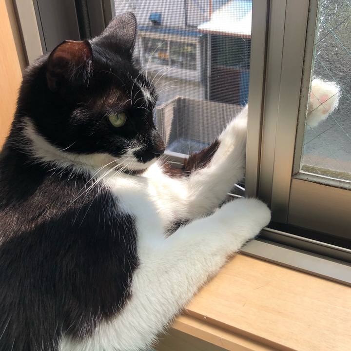 7b0a2817 d19c 4c99 9f84 e612ffbed120 1588573583684