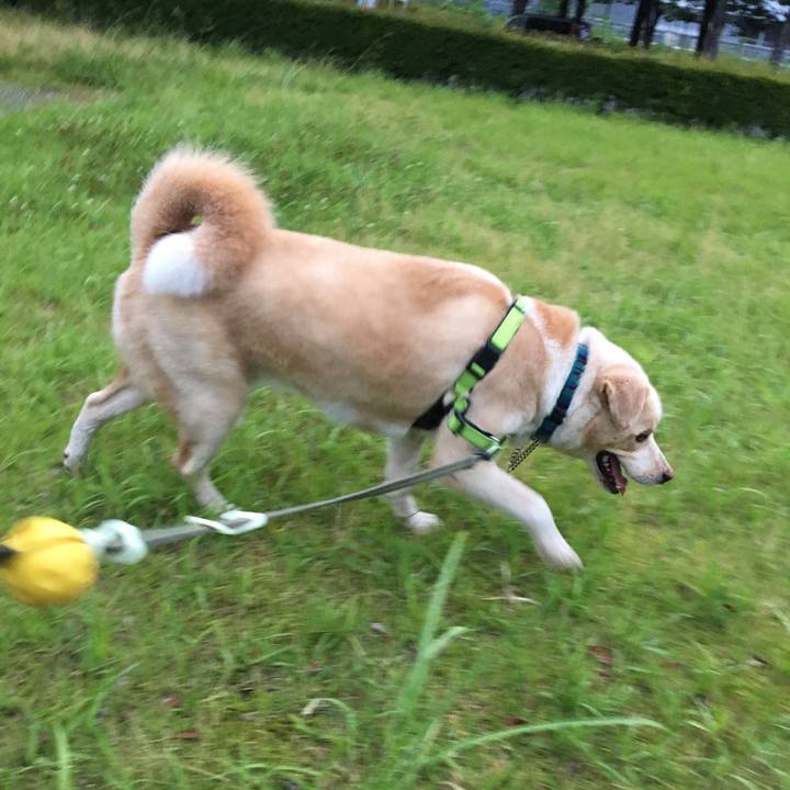 7b0a4008 ad04 478d 8a24 8e38843877f4 1529112405543