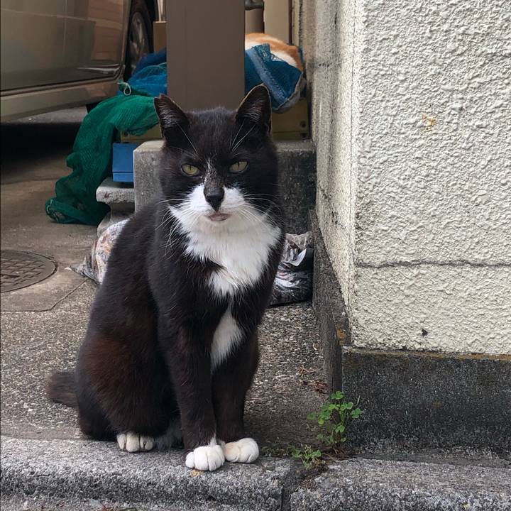 7b0a40c4 36a5 4d53 b8e7 7bfd92930fd3 1589721221065