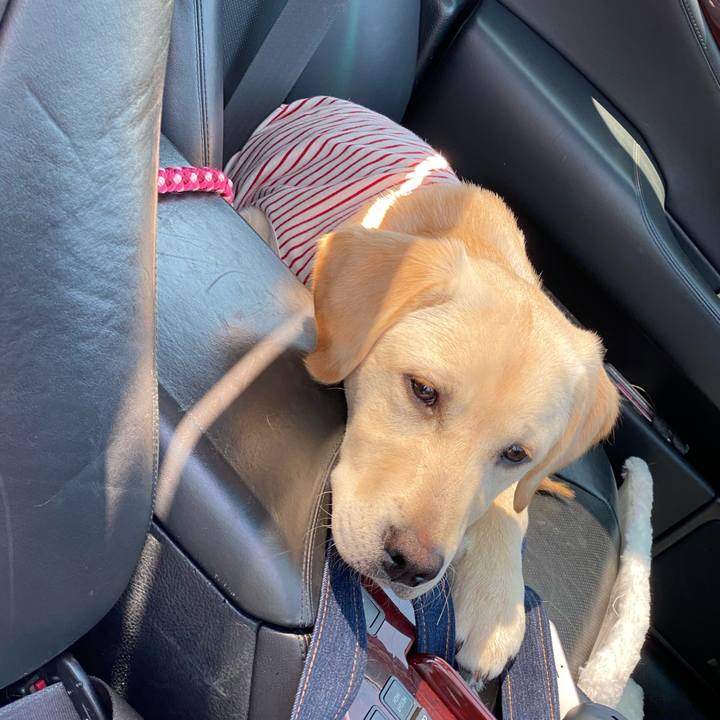 7b0a42a8 2781 4abe 8baa 80c342ed40b6 1619006789138