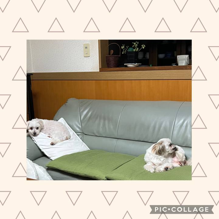 7b0aa6ec a28a 4cf3 85b5 4214317b5f47 1726273076930