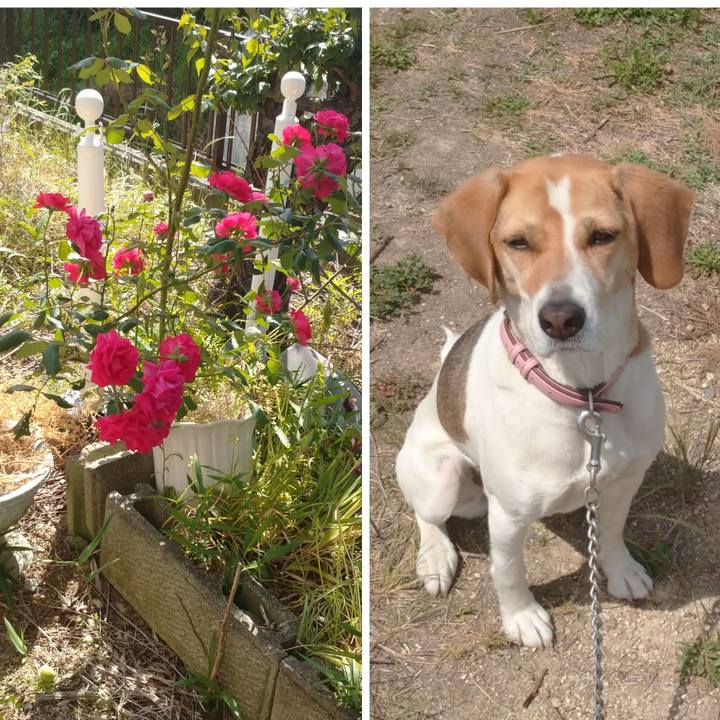 7b0ab492 7b03 40d4 b90a e3033d46d3f3 1589447177591