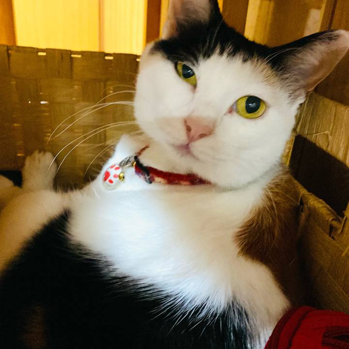 7b0acbb0 1e36 4bf7 8ac7 6b3802f2d3ee 1716328416587