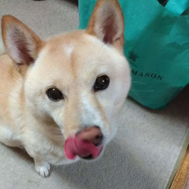 7b0af653 e2a3 434b aff5 0dfe381b62ef 1567078273185