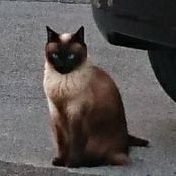 7b0b24e4 d604 4c2b 8fea c2213f0857fa 1562233419540