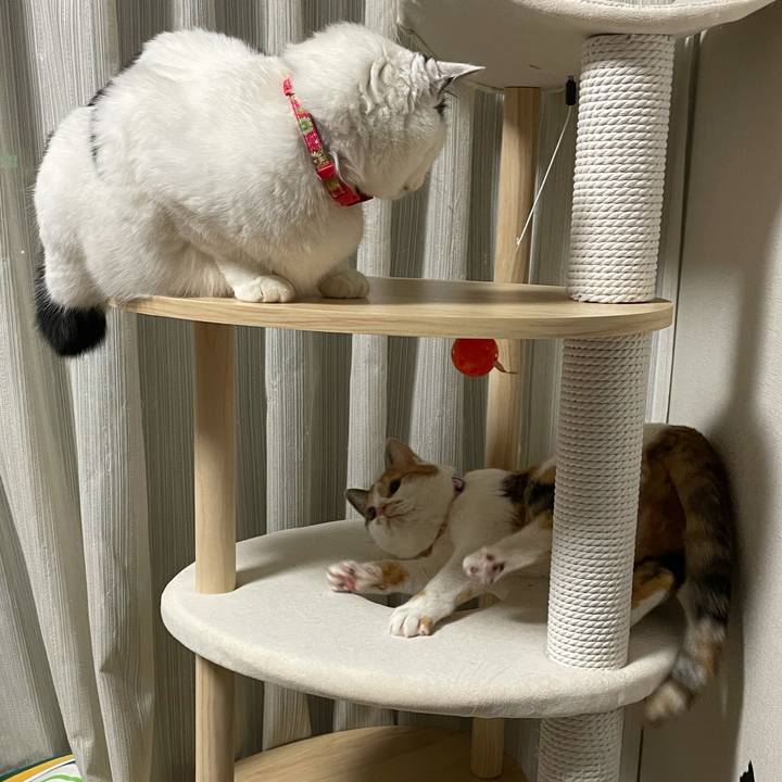 7b0b2503 e304 4304 af47 da616cda4fe7 1613999267348