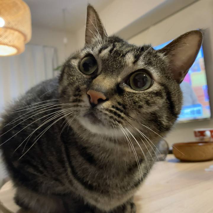 7b0b4f97 7696 4793 aca3 2cefc4af7ed1 1611060902634