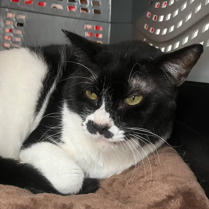 7b0b5c43 dc80 4488 af1a 45603c164f21 1712879369570