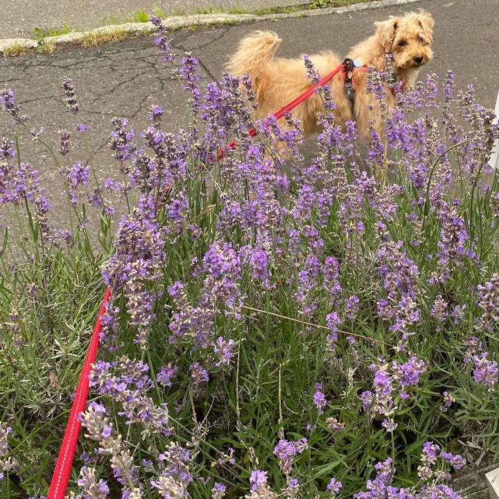 7b0b8e8d 7abf 4e0e 8ade 1123304307fd 1658181564231