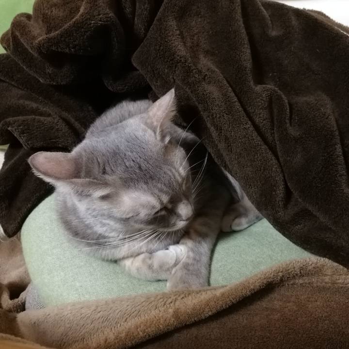 7b0ba77e aed2 43ca 8fa4 b75ed799f3ee 1518429583365