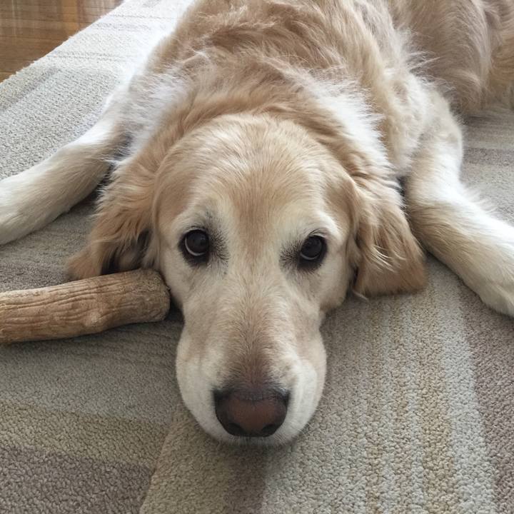 7b0bb233 c6fb 40e0 8e83 86a5f06a85bd 1554245908921