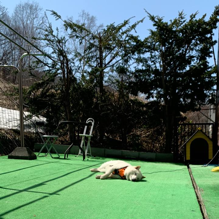 7b0bb26c e219 4faa a956 c8e356214460 1650515272419