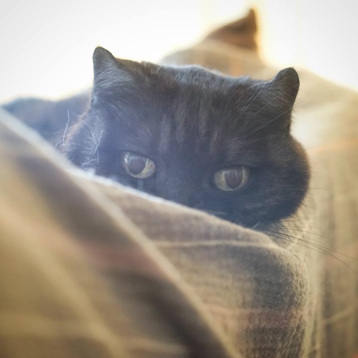 7b0bb819 b41c 4949 b3b4 04785bcb9101 1562897725147