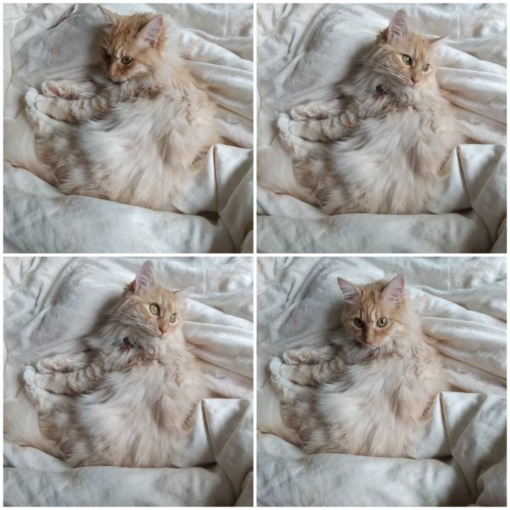 7b0bc7a9 89e4 439b bee4 5e1579a1f243 1651207971767