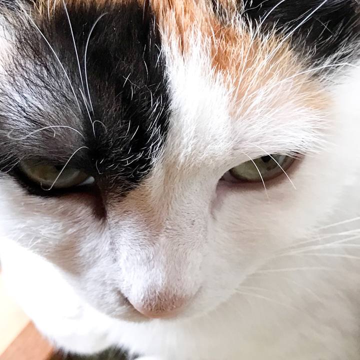 7b0bdebc 2573 4bb8 9c1c 3e875b112711 1524272710282